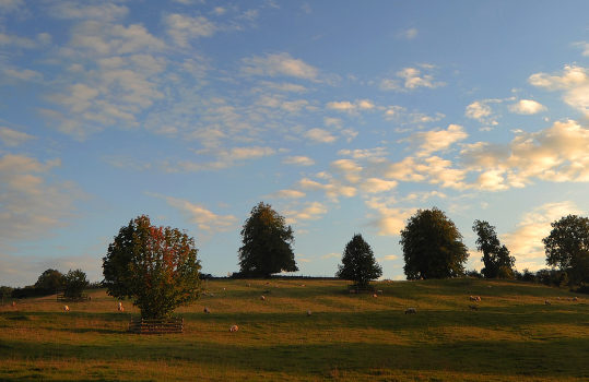 Rolling hills of Oxfordshire, with a beautiful sky