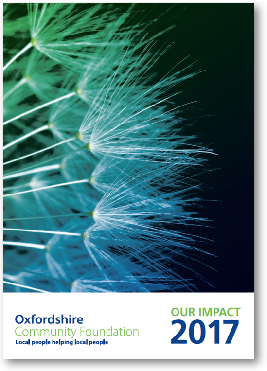 2017 impact report front cover