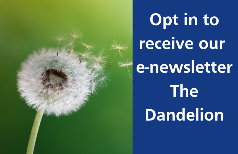 Opt in to newsletter