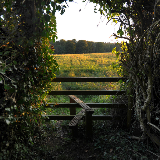 A stile leading to a field