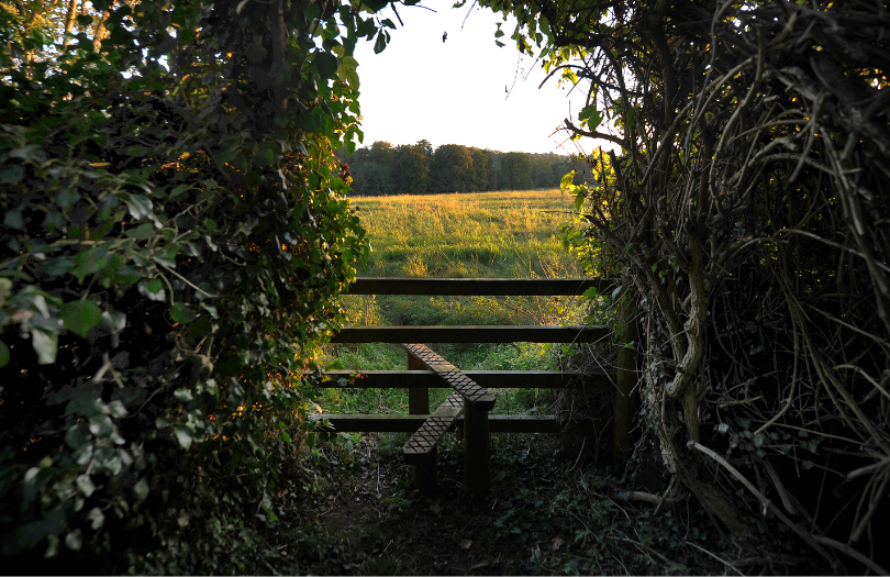 Join the OCF team in 2023! (810 × 525px) A stile leading to a field