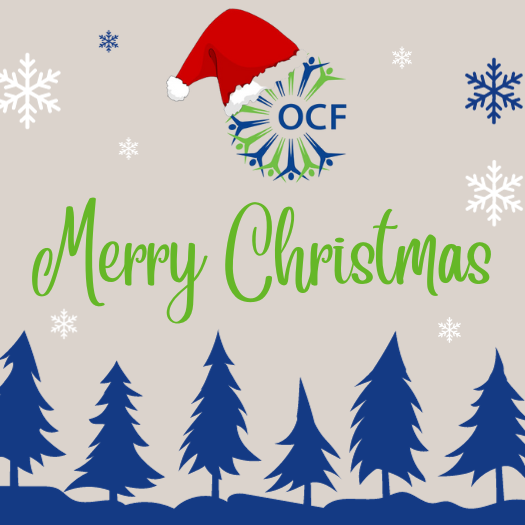 Christmas news header 2023 810×525 Christmas image of snowflakes and christmas trees with the message of Merry Christmas.