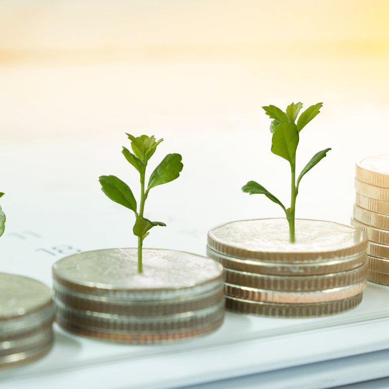 Increasing sizes of piles of coins with small plants growing from them.