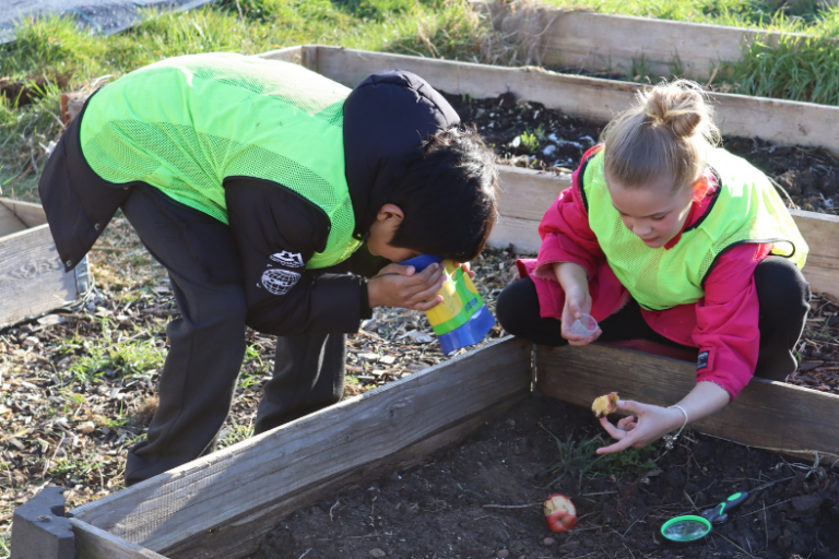 Two children looking at an allotment bed.