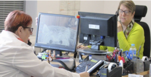 Two people sitting in front of computers, on the telephone.