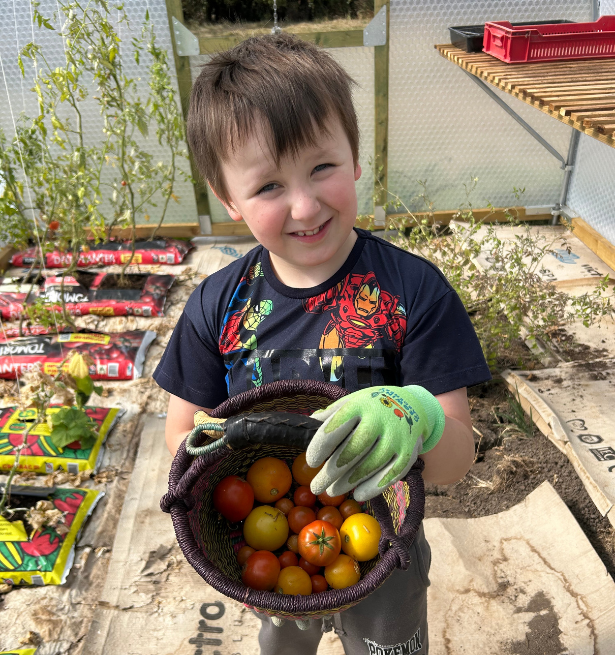A child in a greenhouse holding a bucket of tomatoes.