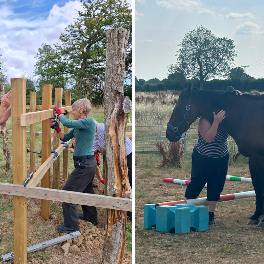 image showing three people constructing a wooden structure in a field, The image shows a horse standing in a field whilst a person has it's arm around the horse.