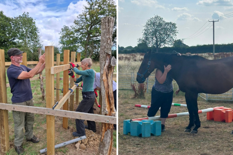 Thriving in Nature 2026 news story 810×525 image showing three people constructing a wooden structure in a field, The image shows a horse standing in a field whilst a person has it's arm around the horse.