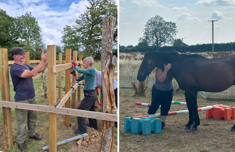 image showing three people constructing a wooden structure in a field, The image shows a horse standing in a field whilst a person has it's arm around the horse.